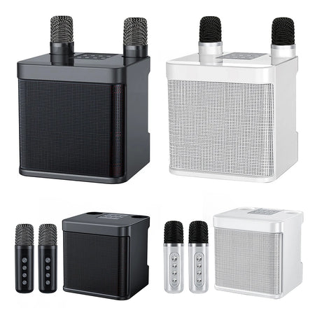 YS203 Karaoke Speaker &ndash; Ultra Clear Karaoke Sound System