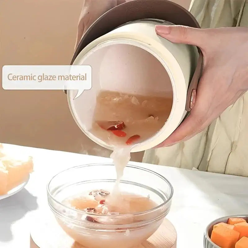 Portable Electric Kettle Rice Cooker Lunch Box 500W