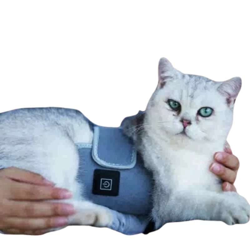 Ruční červená infračervená světelná terapie pro lidi a domácí zvířata