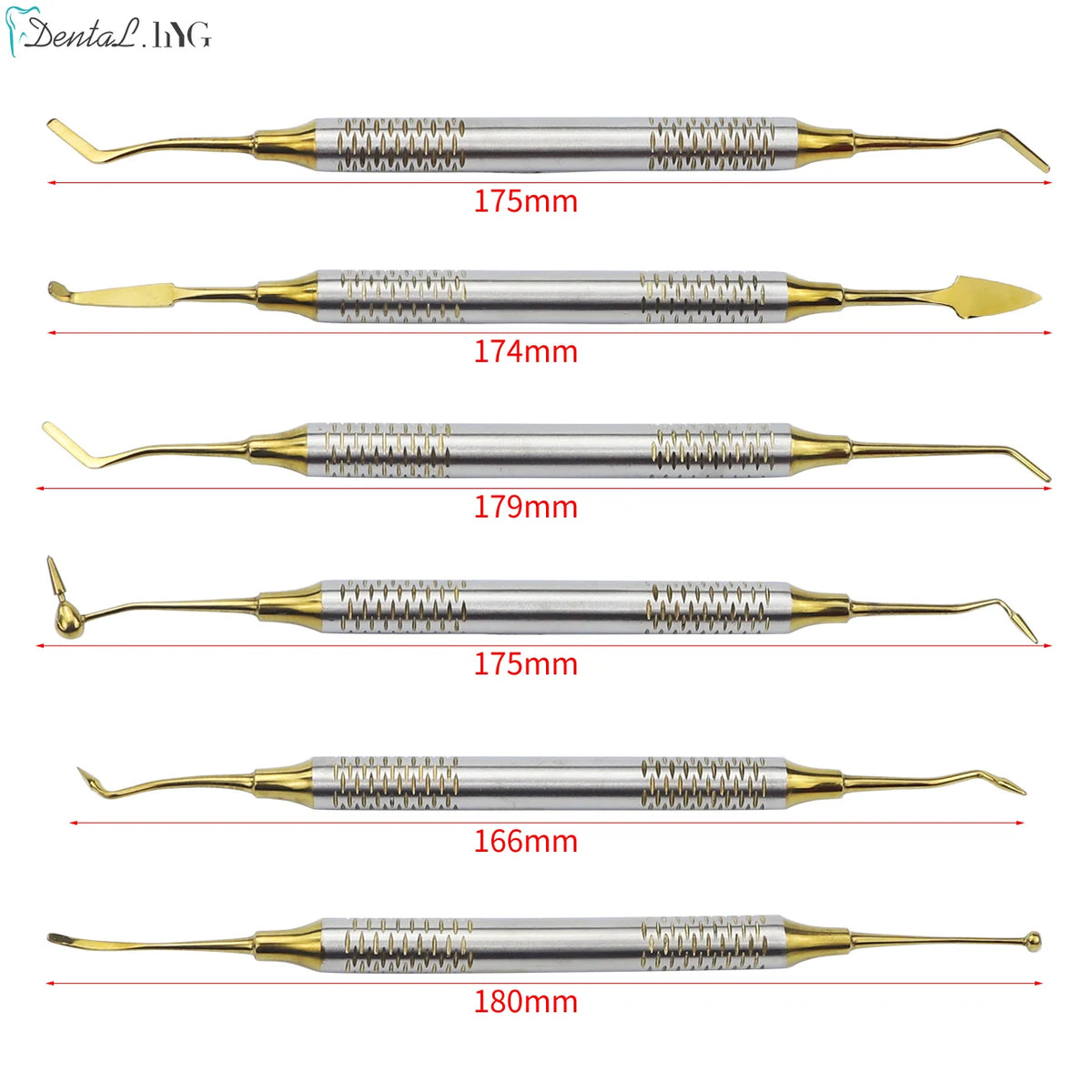 6Pcs Kit Dental Spatulas &ndash; Autoclavable Stainless Steel