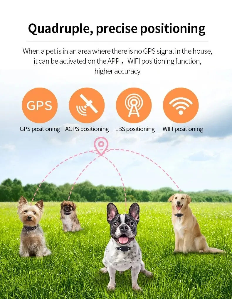 Waterproof Pet GPS Tracker P03 &ndash; Real Time Tracking