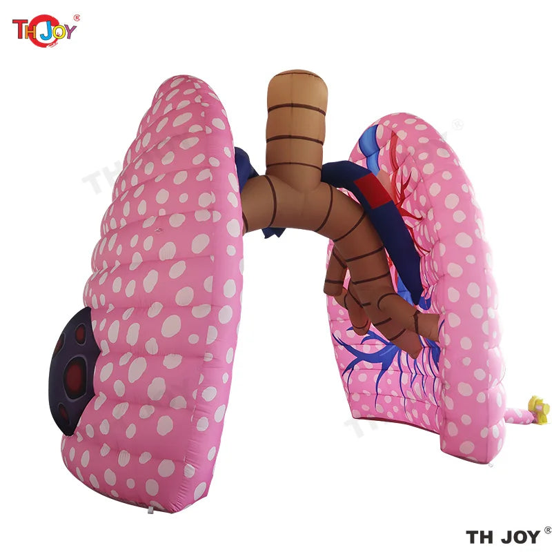 4m Υψηλό Φουσκωτό Μοντέλο Πνεύμονα Για Ιατρική Διδασκαλία