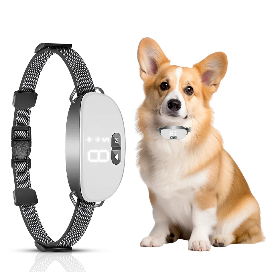 2024 New Smart Dog Bark Collar &ndash; Adjustable Sensitivity