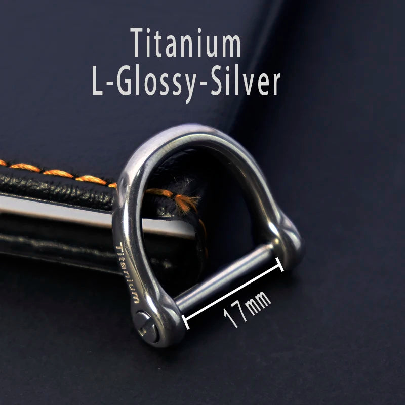 Luxury Titanium Keychain - Ultra Lightweight Carabiner for Men Titanium-L-L-S