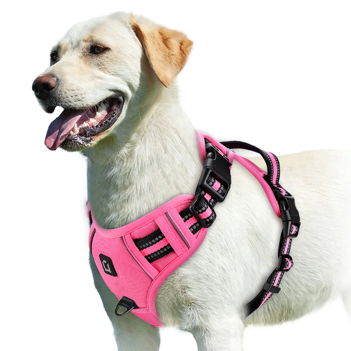 No Pull Dog Harness &ndash; Soft Padded Vest With Easy Control Pink / XL