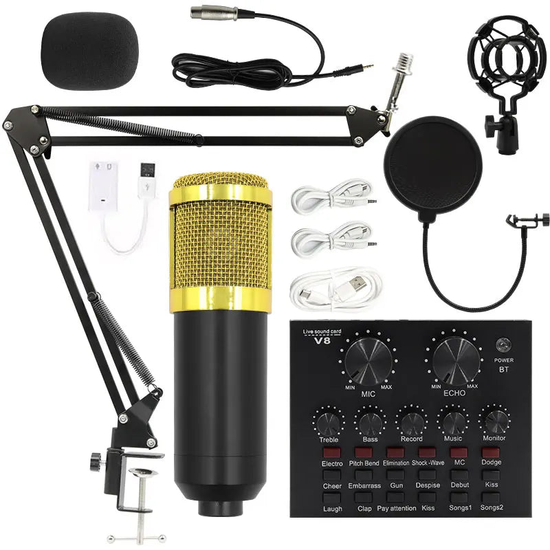 BM-800 Condenser Microphone &ndash; Ideal for Karaoke and Gaming gold-BM800-V8