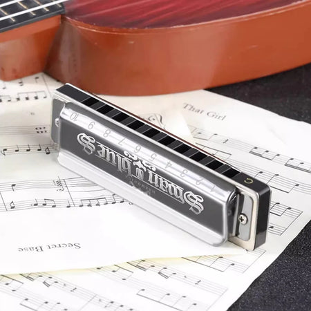 SWAN Blues Harmonica C Key 10 Holes &ndash; Ideal for Beginners