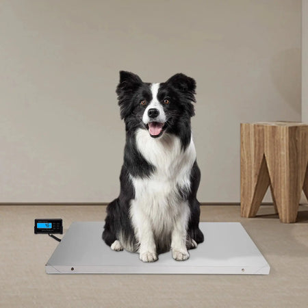 300KG/660LBS Digital Animal Scale - Stainless Steel Platform