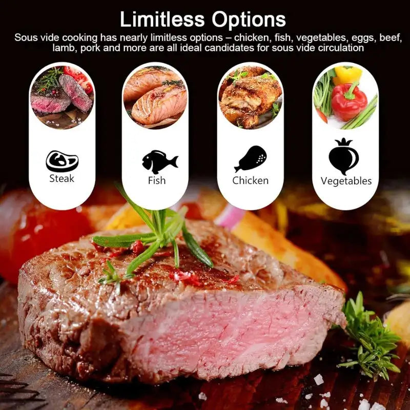 1100W Sous Vide Immersion Circulator LCD Touch Display