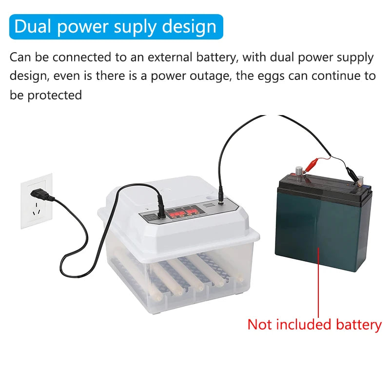 16 Eggs Dual-Electric Automatic Egg Incubator &ndash; Auto Turn