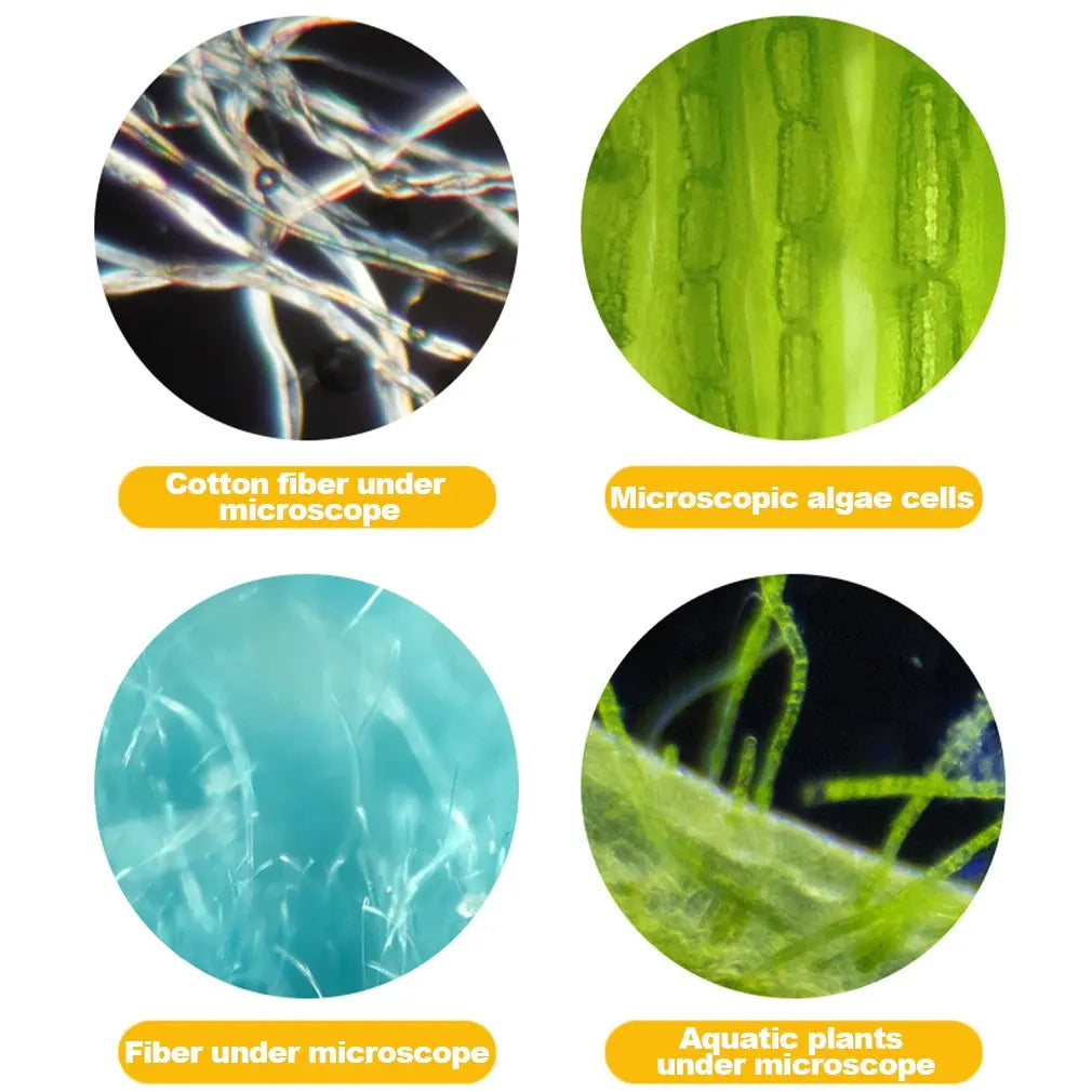 60-180x Handheld Microscope &ndash; Engaging Science Experiment Set for Kids