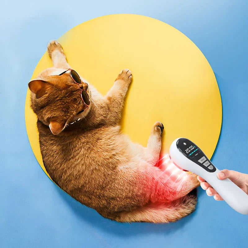 New 650nm 808nm Low Level Laser Therapy Device &ndash; Effective Pain Relief Solution