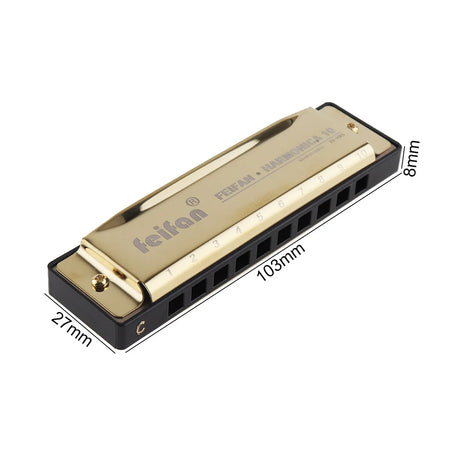 Professional Blues Harmonica 10 Hole 20 Tone &ndash; For Beginners gold / CHINA