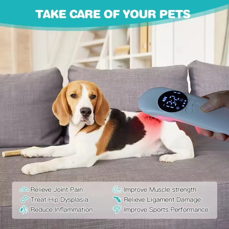 HLKGO Terapie bolesti laserem 650nm 808nm pro tělo a domácí zvířata