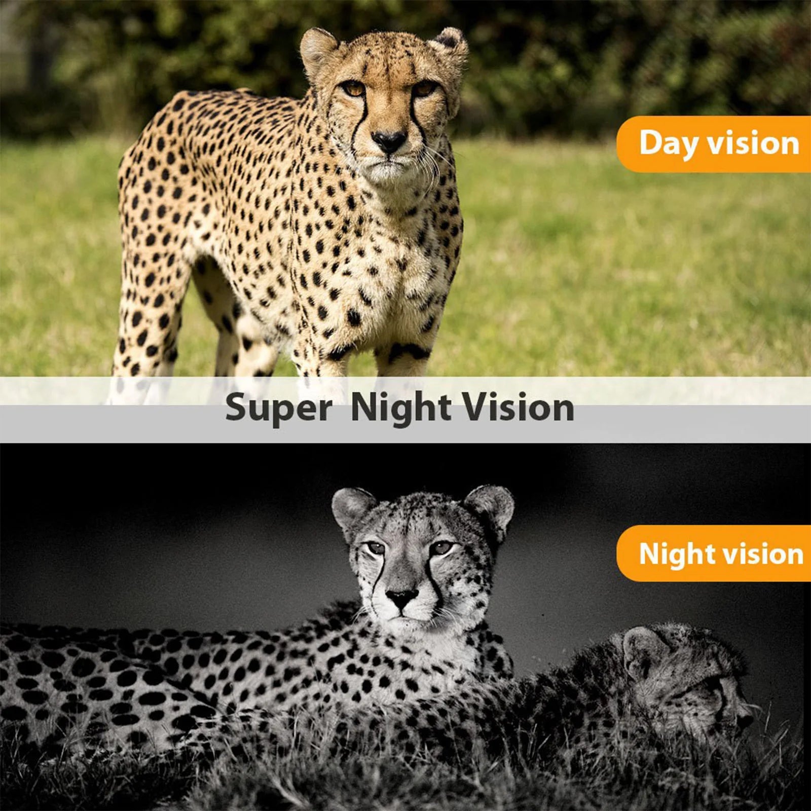 24MP Waterproof Trail Camera with Night Vision and Motion Activation