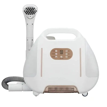 Portable High Pressure Steam Cleaner for Fabric and Carpet 200793 / spain / 220 V