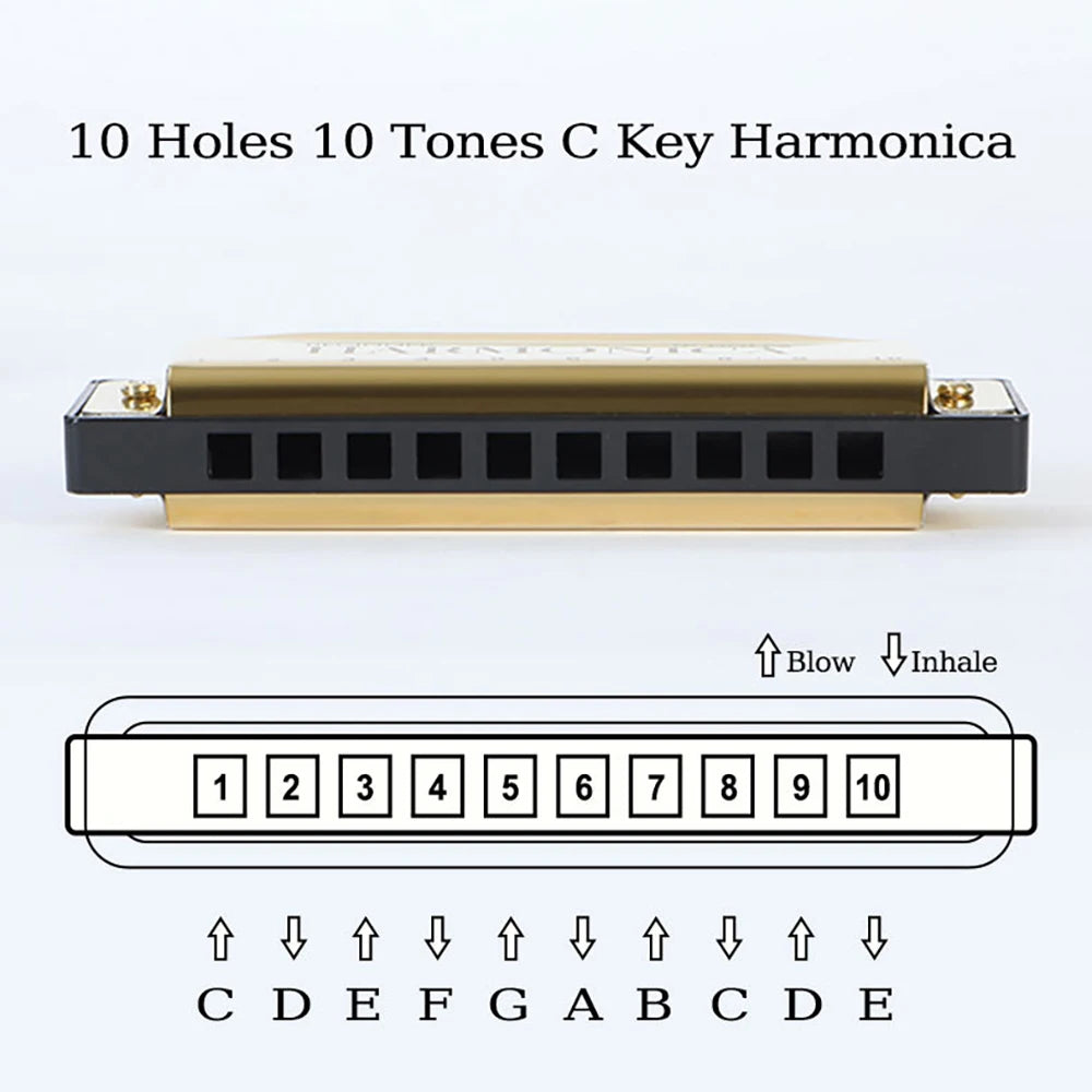 10 Hole C Harmonica Mouth Organ Blues Harp &ndash; Easy to Play