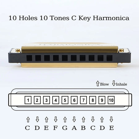 10 Hole C Harmonica Mouth Organ Blues Harp &ndash; Easy to Play