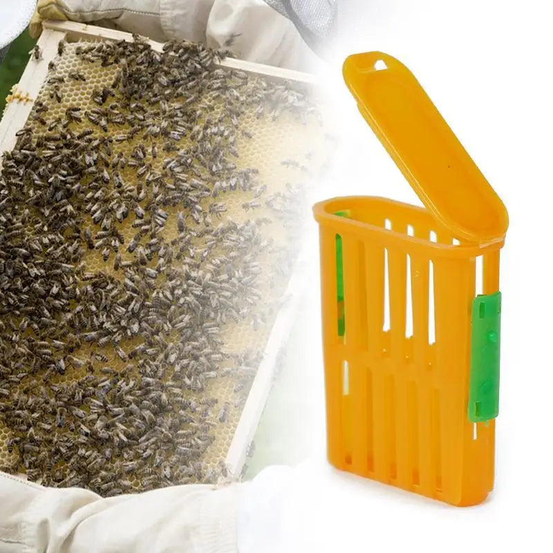 Beekeeping Queen Cage Set 5Pcs &ndash; Safe Queen Transport