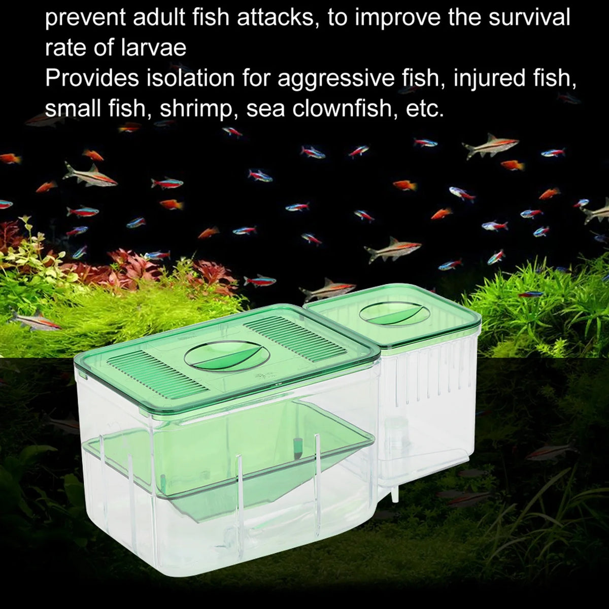 Aquarium Breeding Box Double Layer &ndash; Safe Newborn Isolation