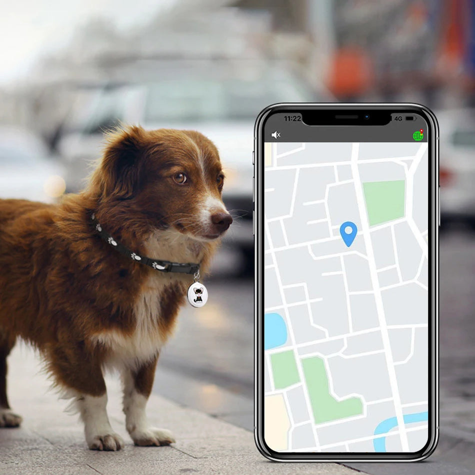 AirTag GPS Tracker Bluetooth Collar Locator Cat Dog Bird