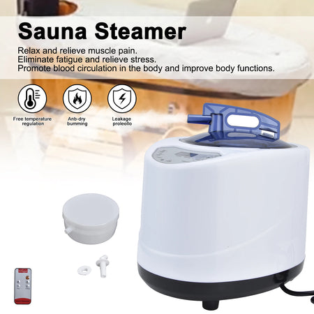 1000W Sauna Steamer Pot Machine &ndash; Portable Home Spa
