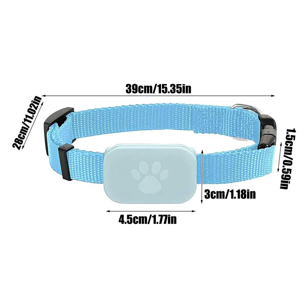 GPS Cat Collar Kitten Tracking &ndash; Long Lasting Battery Blue