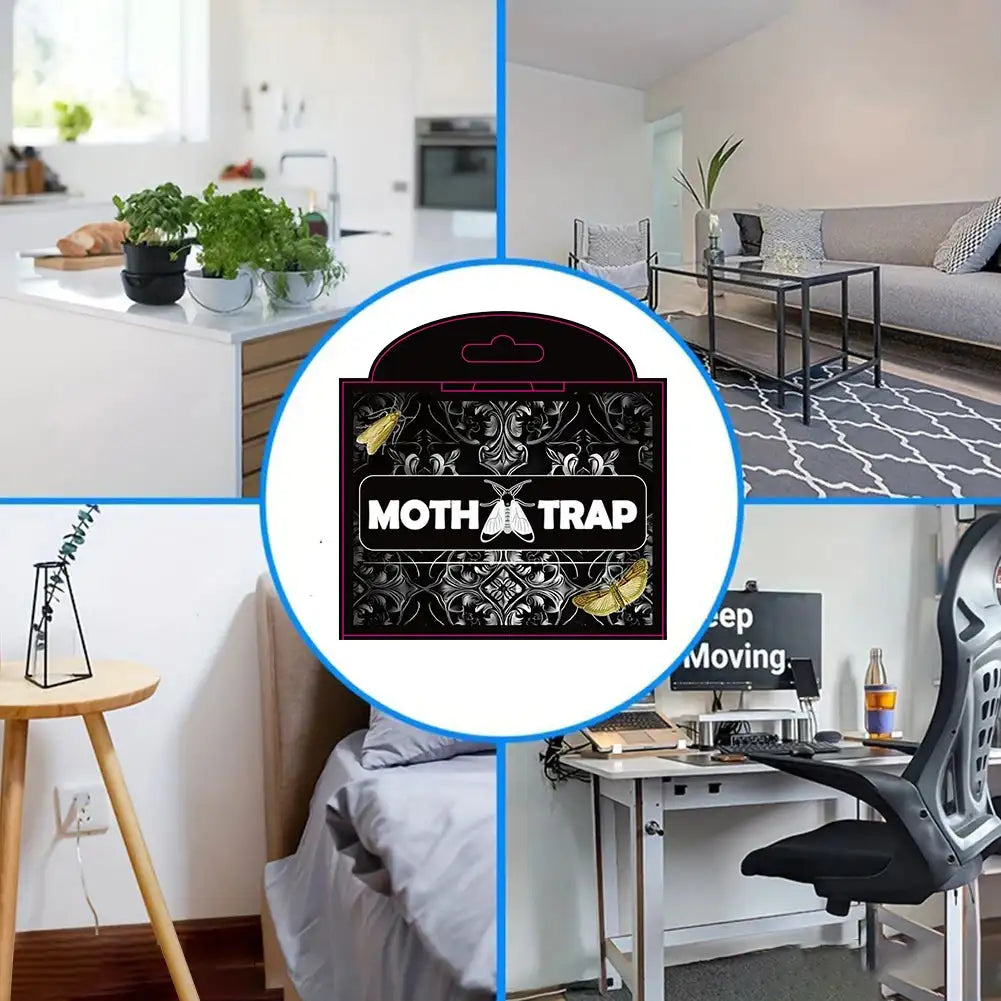 5Pcs Moth Pheromone Traps For Closet Pantry Kitchen Clothes