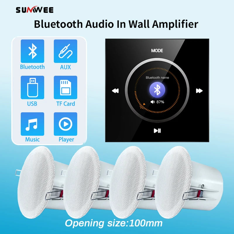 Wandmontierter Bluetooth-Verstärker mit FM HiFi Stereo und Deckenlautsprecher