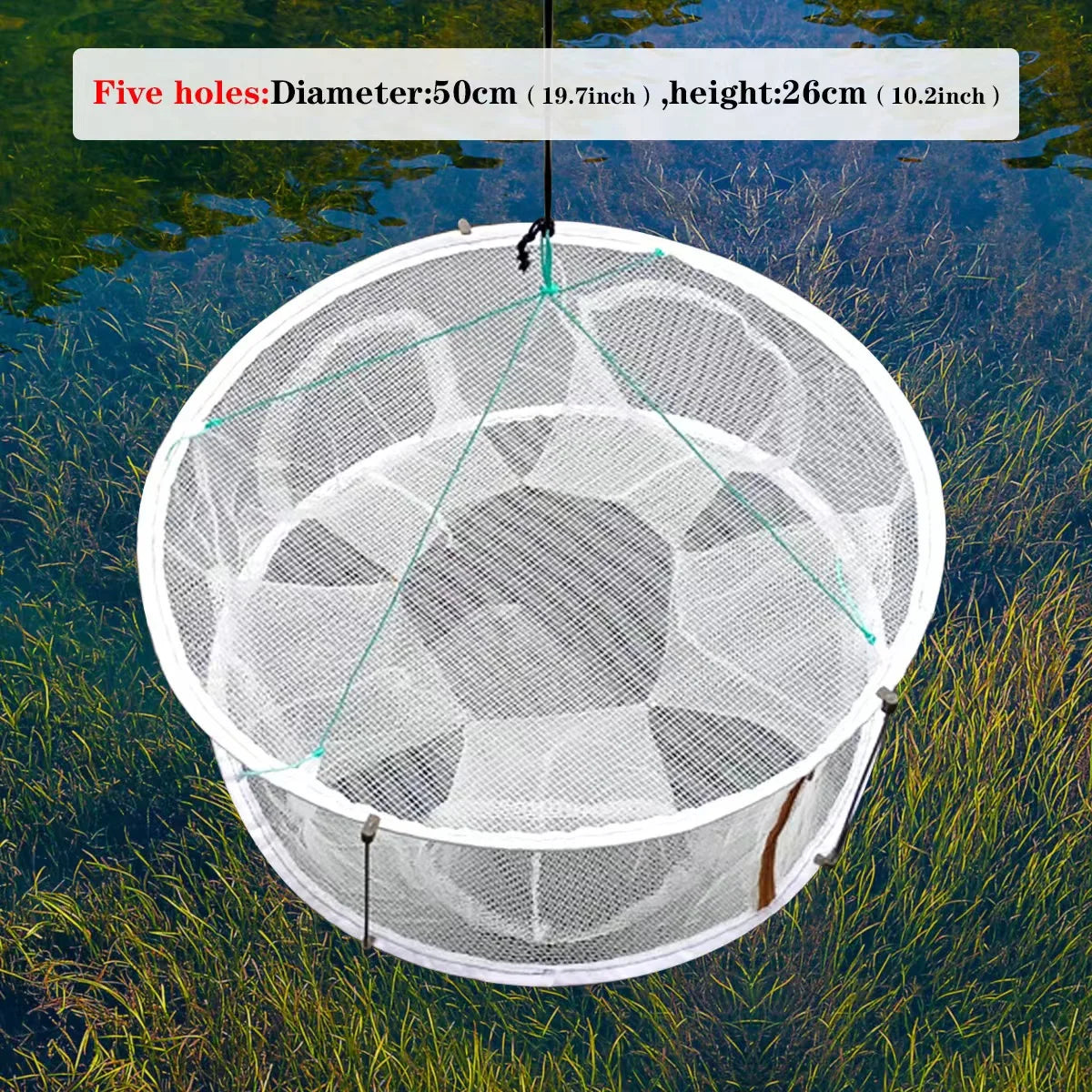 Foldable Automatic Fishing Net for Crabs, Lobsters, and More - Durable &amp; Easy to Use 5 holes
