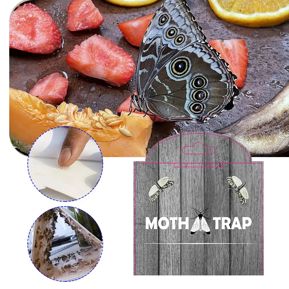 5Pcs Moth Pheromone Traps For Closet Pantry Kitchen Clothes