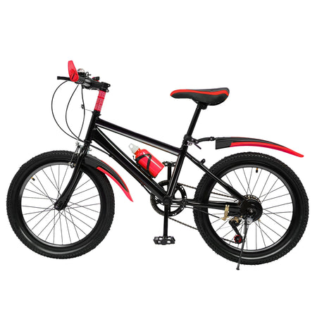 20 Inch Mountain Bike Kids Bicycle &ndash; Dual Disc Brakes