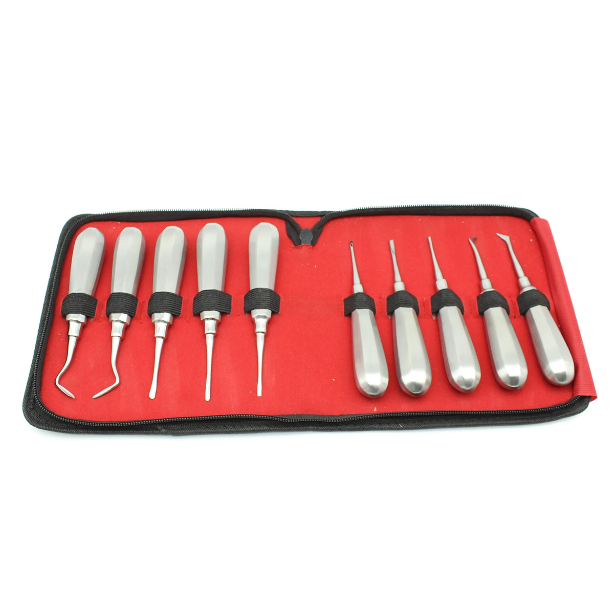10pcs Dental Elevator Set &ndash; Stainless Steel Curved Root Lift 10pcs 1set