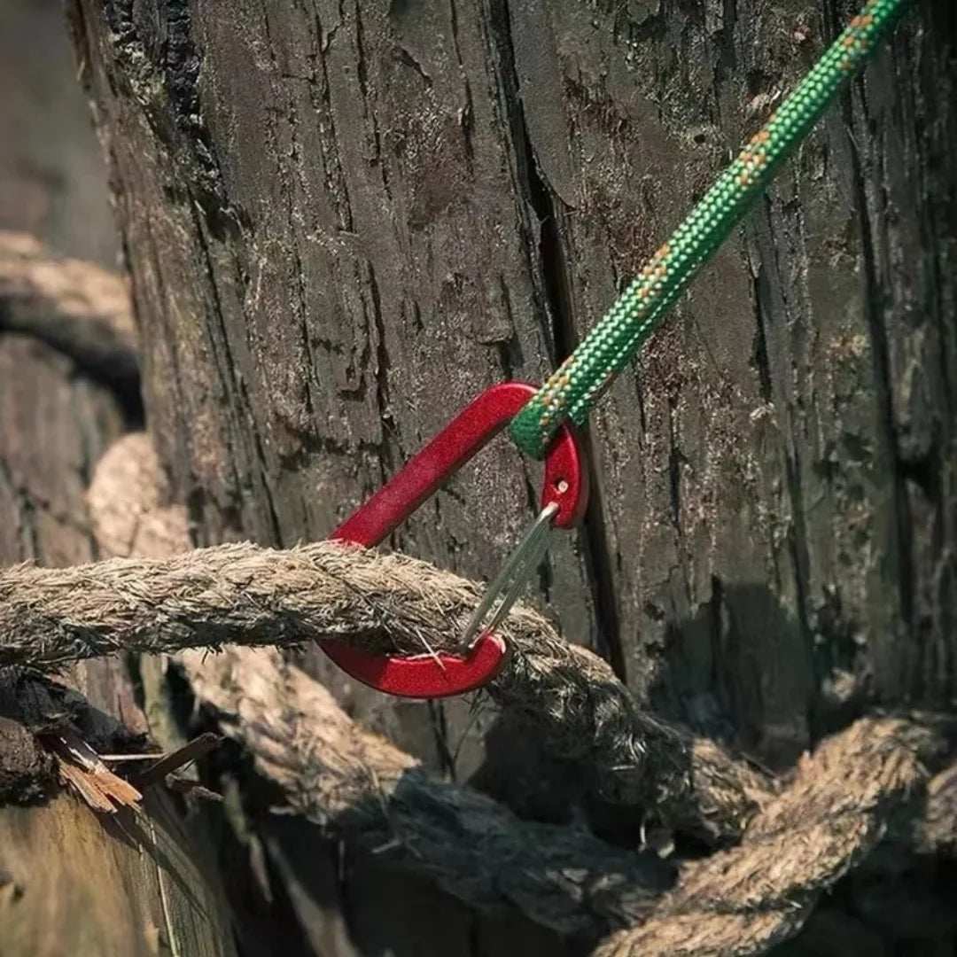 6Pcs Aluminum Carabiner Set by Booms Fishing CC1 &ndash; Durable