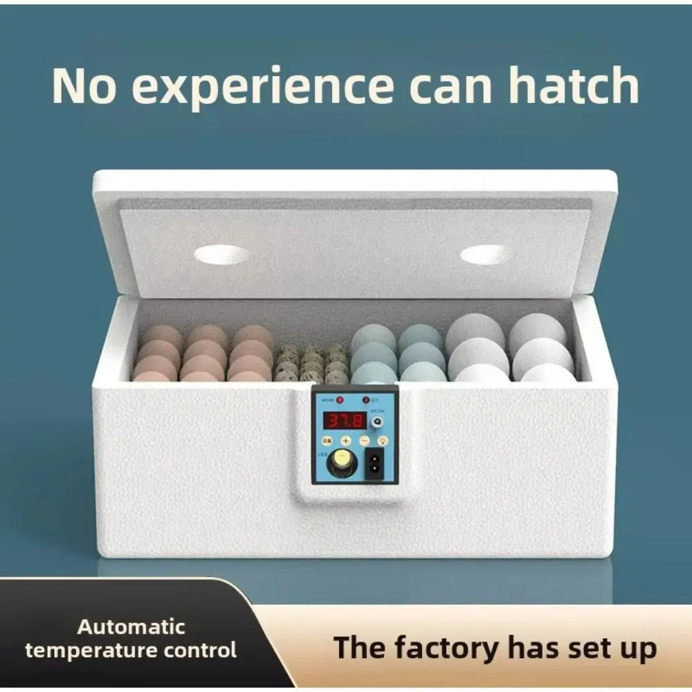 24-Hour Thermostatic Egg Incubator - Quiet Operation