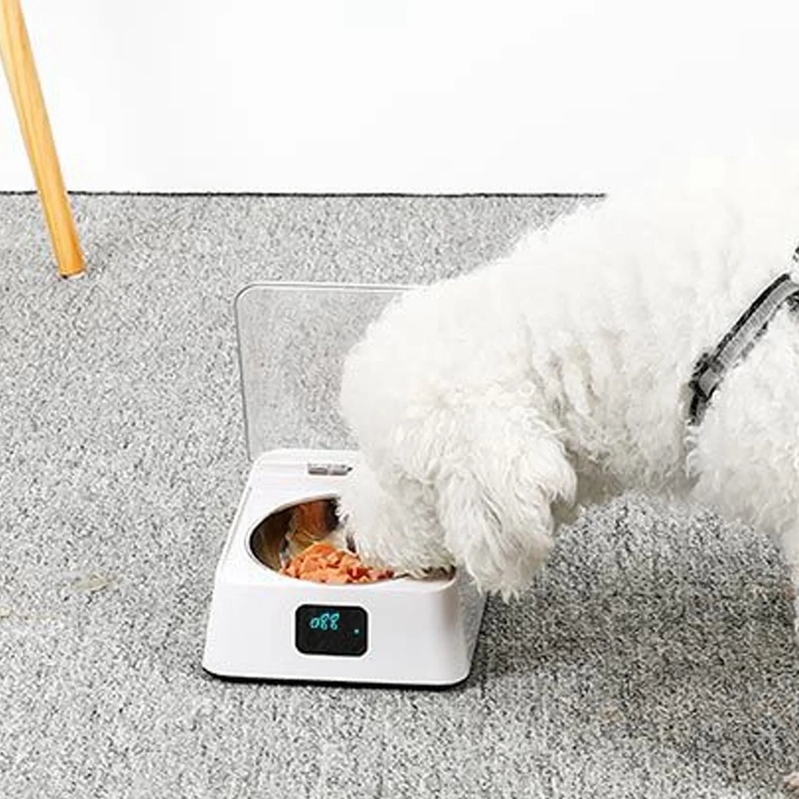 Infrared Sensor Cat Feeder &ndash; Digital Display Easy Clean