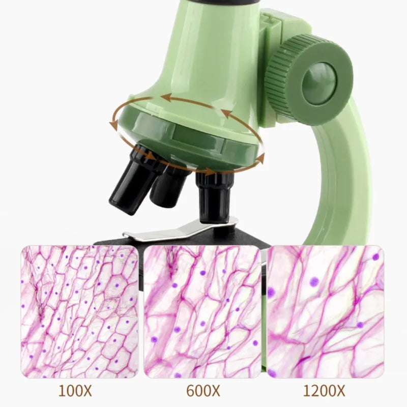 Children's LED Science Microscope &ndash; HD Illumination
