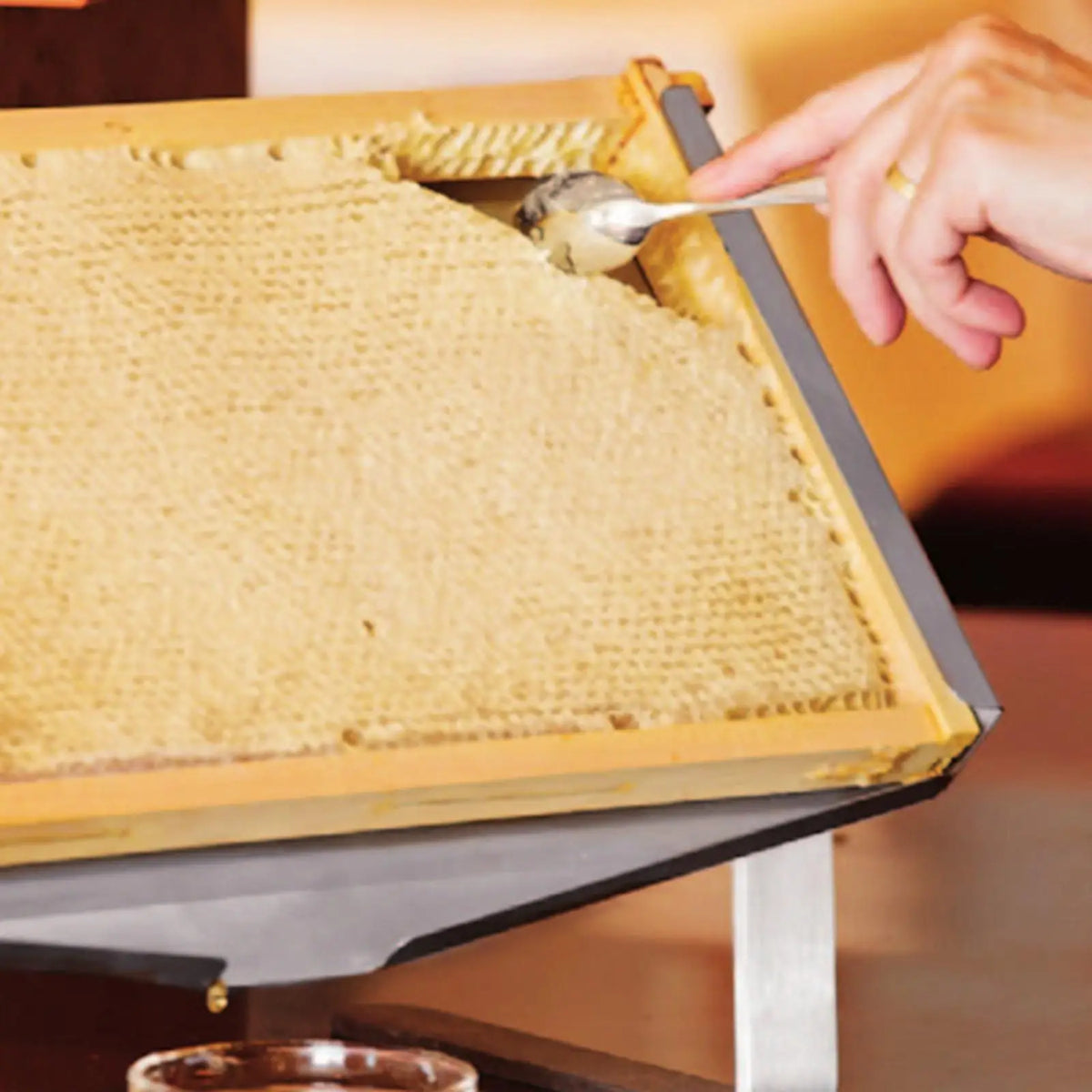 Beehive Frame Holder &ndash; Durable Beehive Frame Display Stand