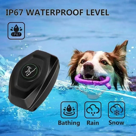 DB400 Dog Training Collar &ndash; Rechargeable Shock Collar