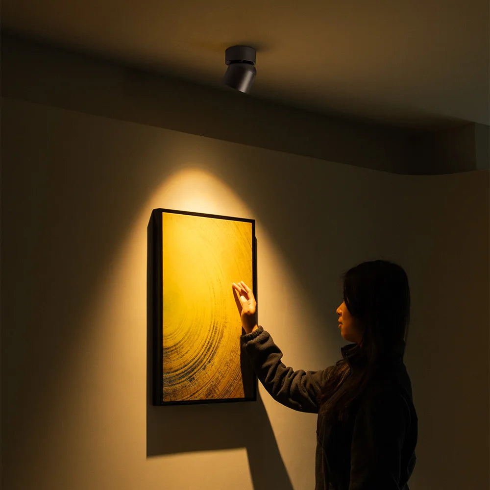 Aisilan LED Ceiling Spotlight - Rotation Adjustable