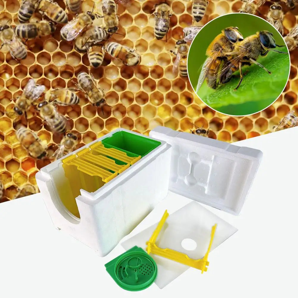 Multi-function Home Bee Hive Pollination Boxes Mini Box Bee Beehive ...