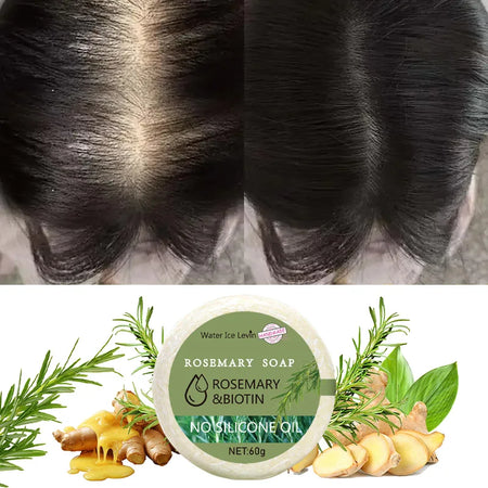 Water Ice Levin Rosemary Shampoo &ndash; Nourishing Hair Growth and Moisturizing Formula