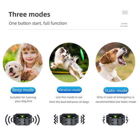 800m Electric Dog Training Collar &ndash; Waterproof Remote