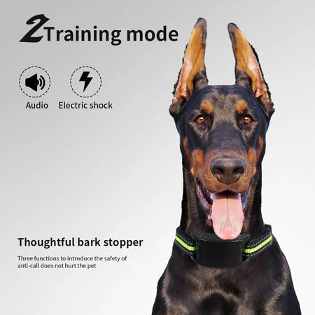 Electric Anti Bark Collar - USB Rechargeable Beep and Shock