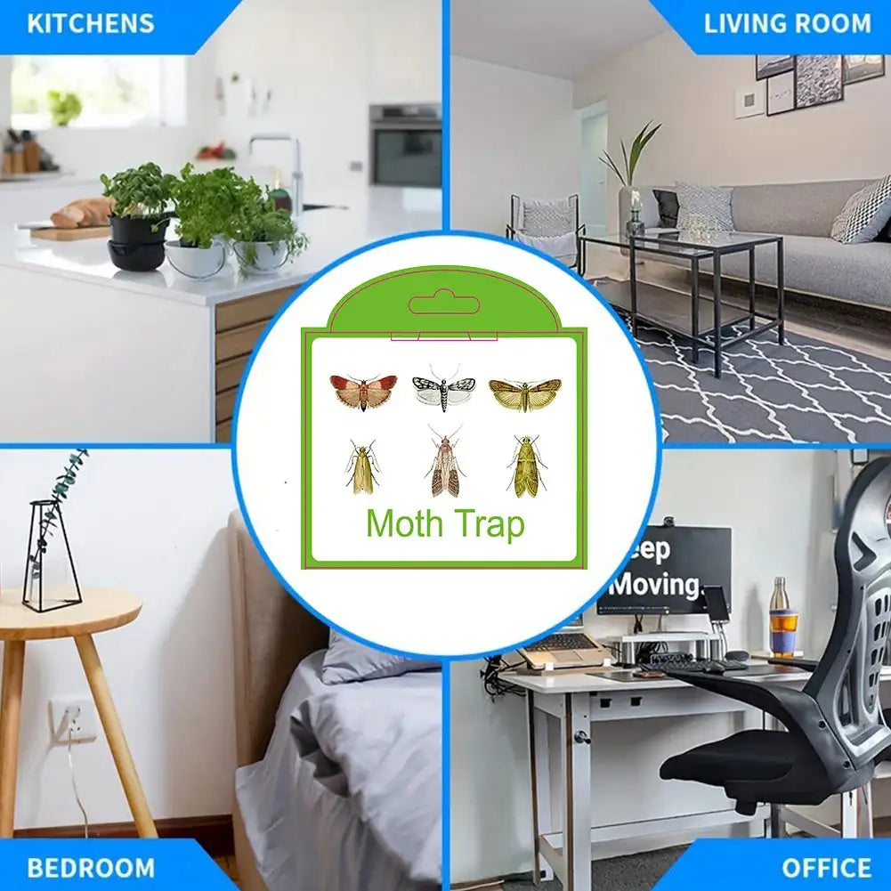 5Pcs Moth Pheromone Traps For Closet Pantry Kitchen Clothes