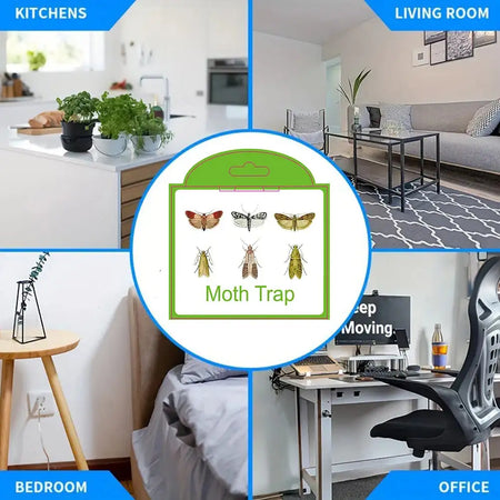 5Pcs Moth Pheromone Traps For Closet Pantry Kitchen Clothes