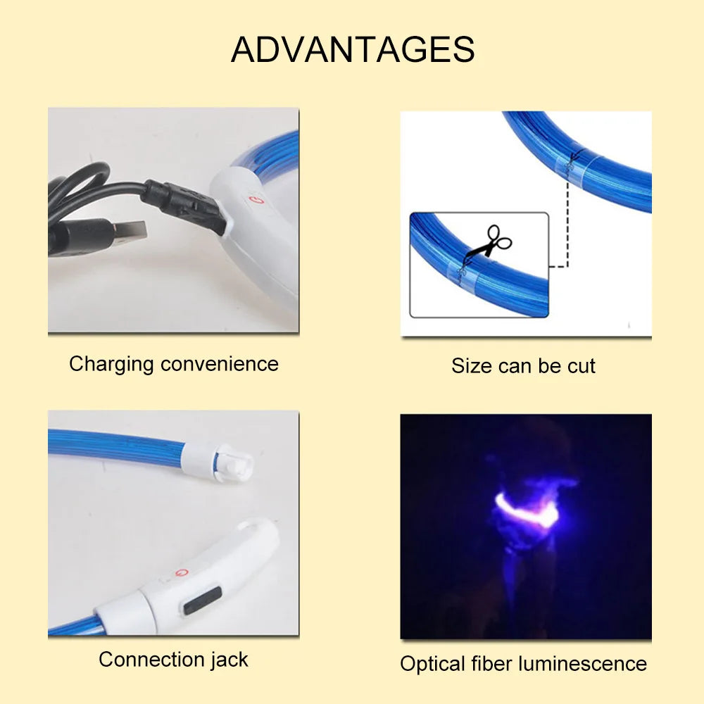 Luminous LED Dog Collar with USB Rechargeable Light