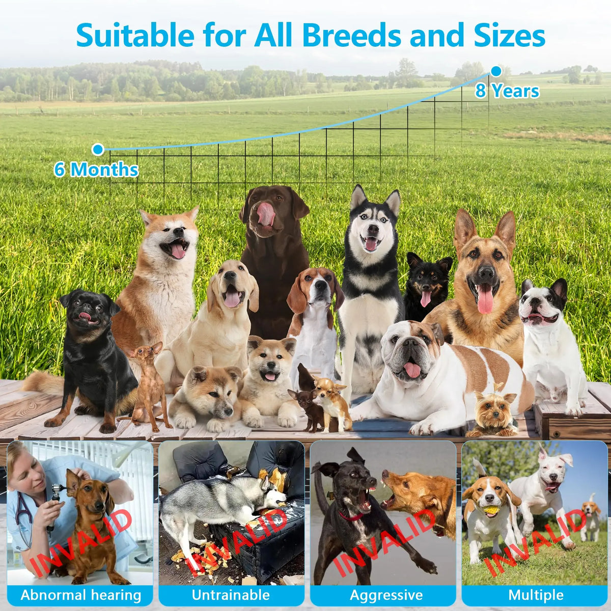 Ultrasonic Bark Control Device for Dogs &ndash; Three Modes