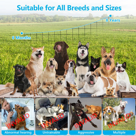 Ultrasonic Bark Control Device for Dogs &ndash; Three Modes