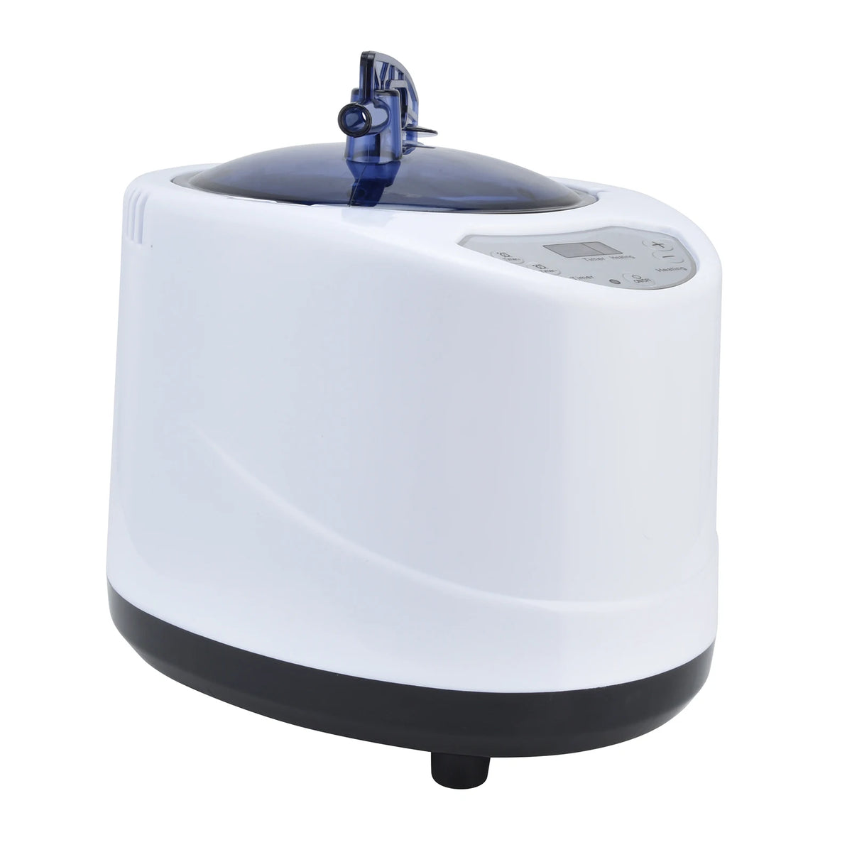 1000W Sauna Steamer Pot Machine &ndash; Portable Home Spa